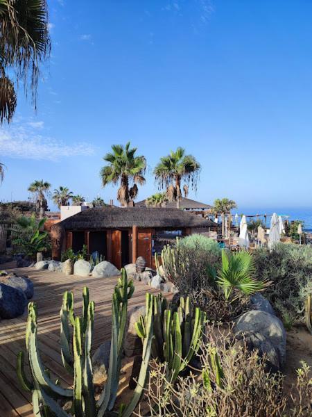 Margherita House Tenerife, Wonderful Ocean View بالم مار المظهر الخارجي الصورة