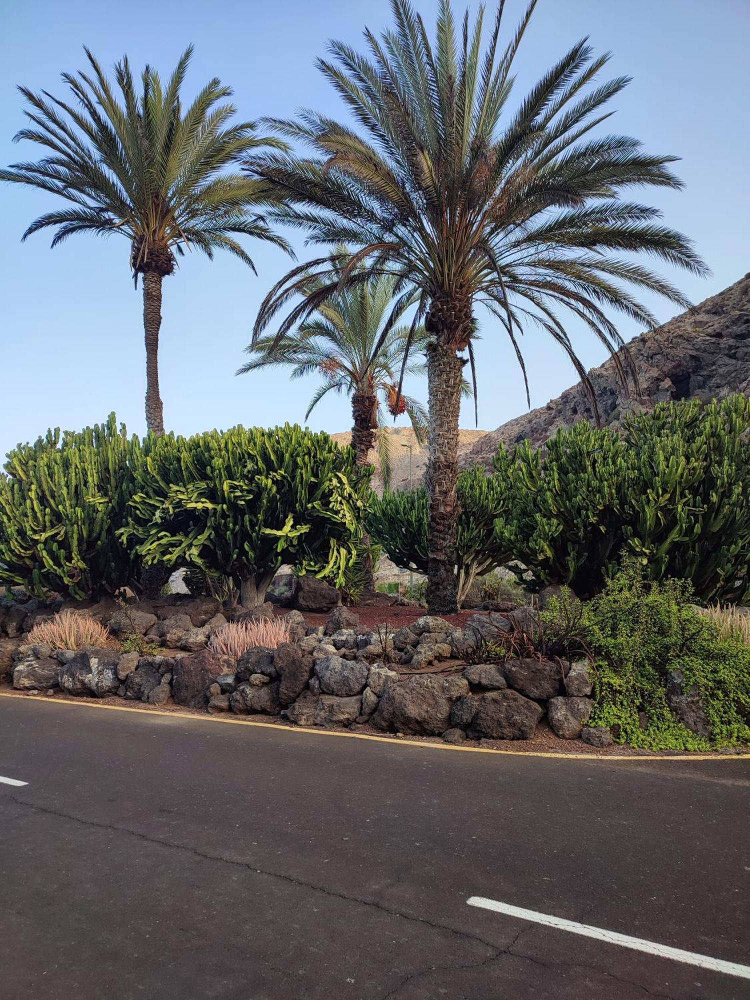 Margherita House Tenerife, Wonderful Ocean View بالم مار المظهر الخارجي الصورة