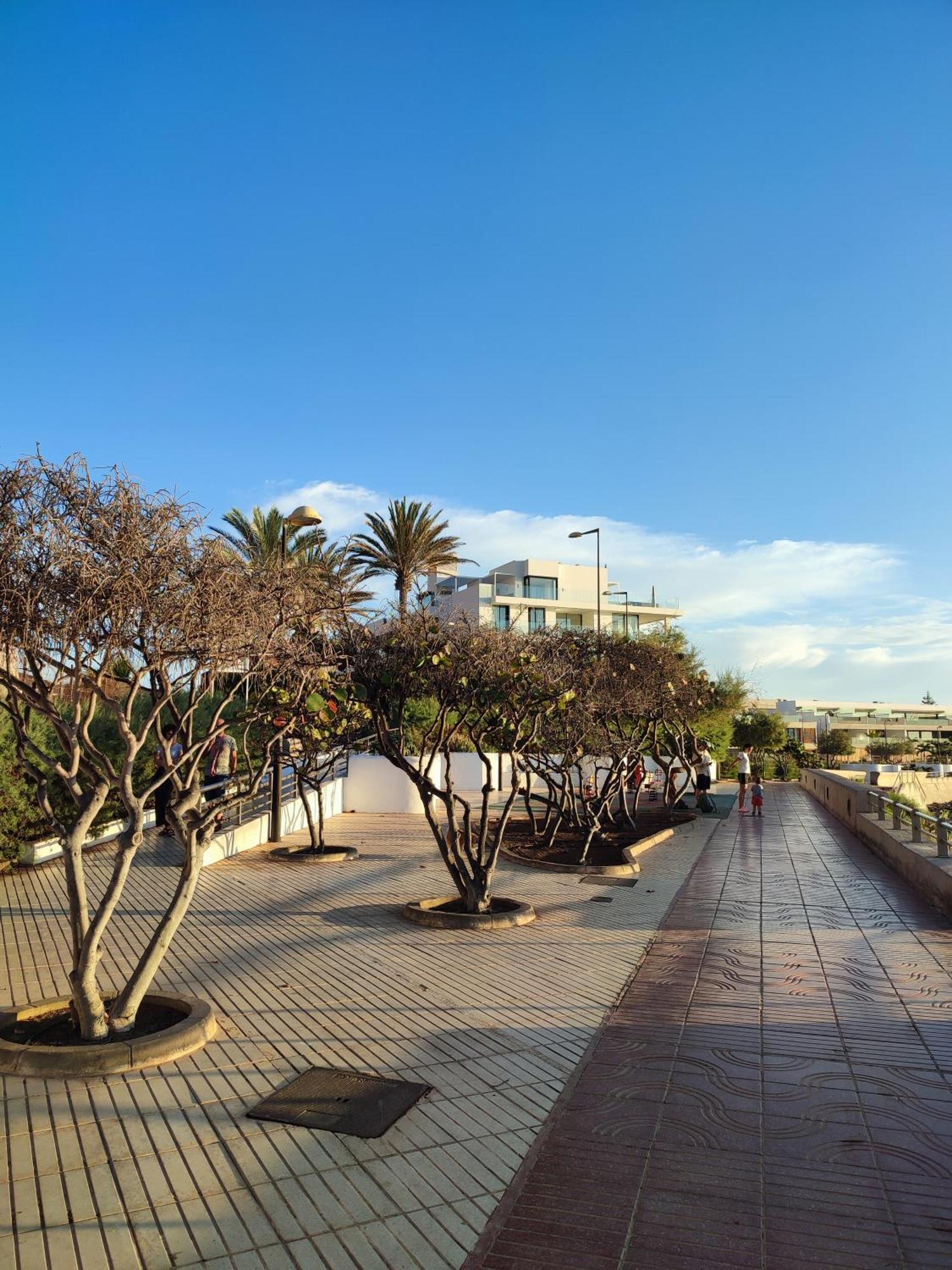Margherita House Tenerife, Wonderful Ocean View بالم مار المظهر الخارجي الصورة