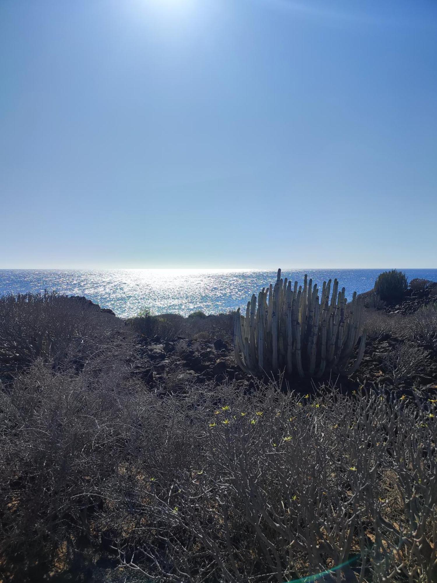 Margherita House Tenerife, Wonderful Ocean View بالم مار المظهر الخارجي الصورة